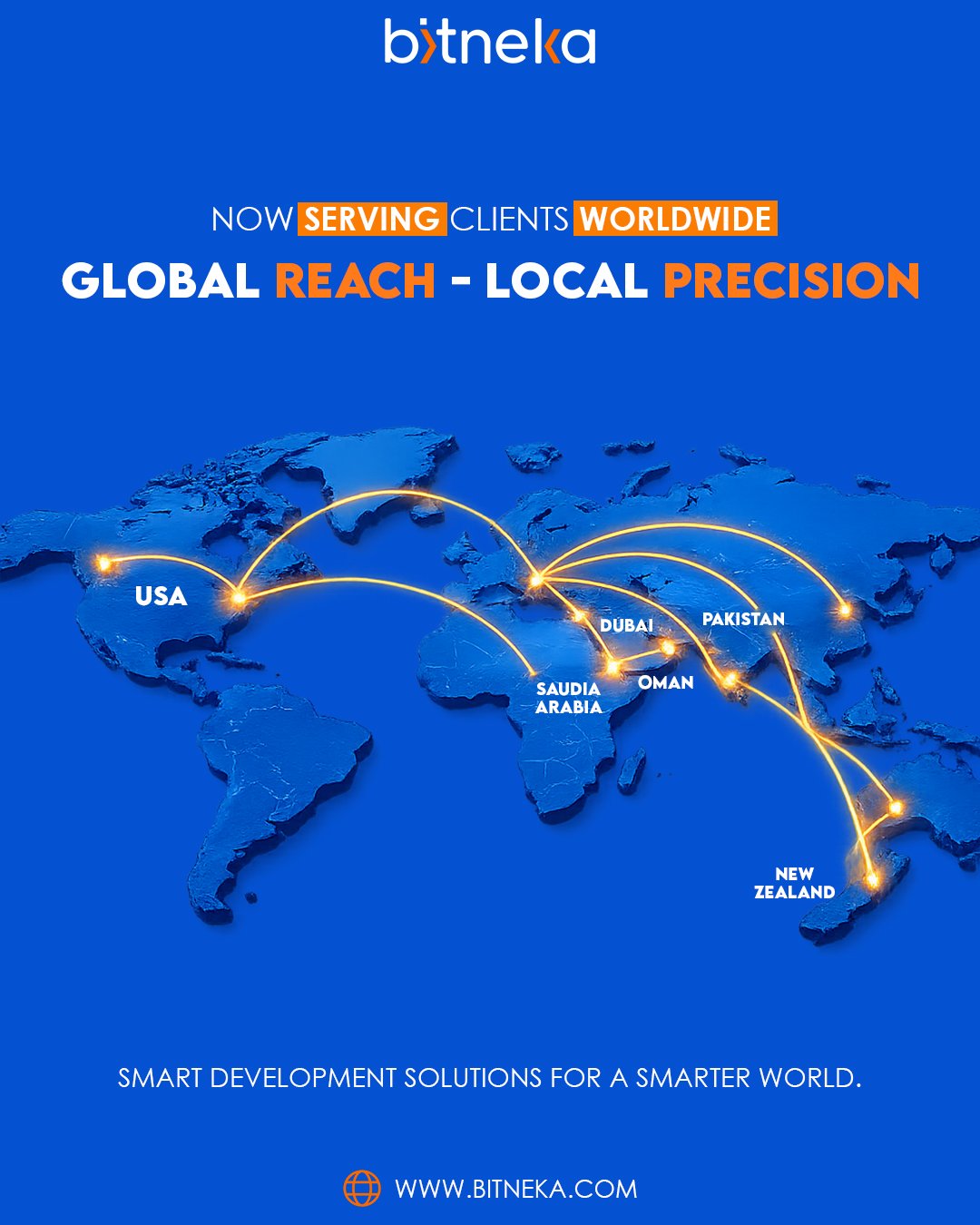 Global Reach Local Precision — Bitneka worldwide delivery footprint